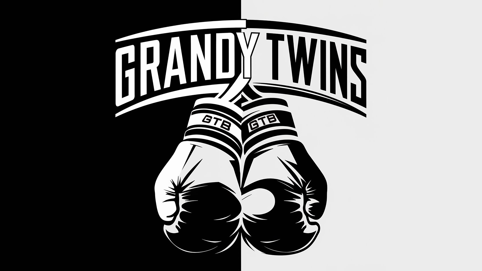 Grandy Twins Boxing
